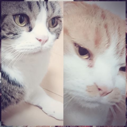 はあああああああああああ♡♡